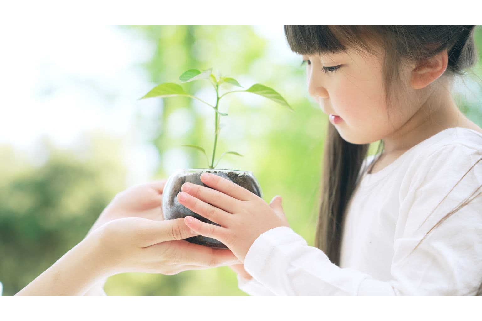 私たちは地球と人の健康を考えています