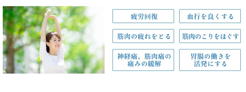 医療機器